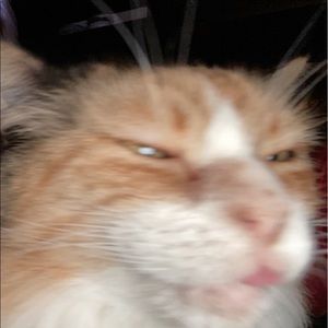 Meet your Posher, Zack